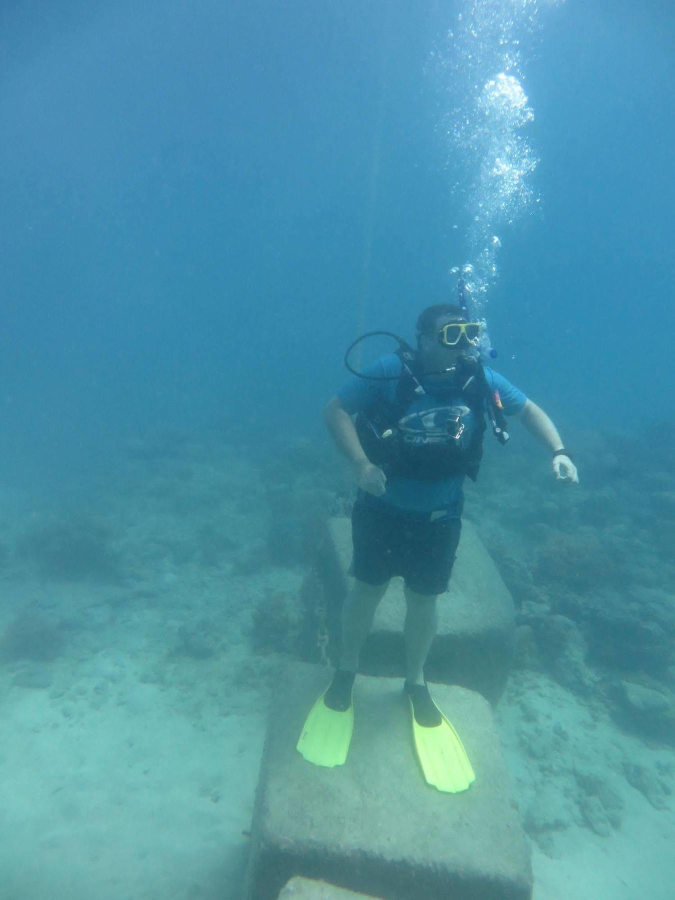 Reef Backpackers Pansiyon Cairns Dış mekan fotoğraf
